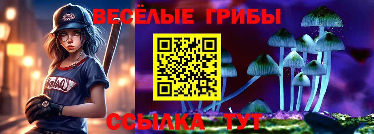 Псилоцибиновые грибы Cubensis Урус-Мартан