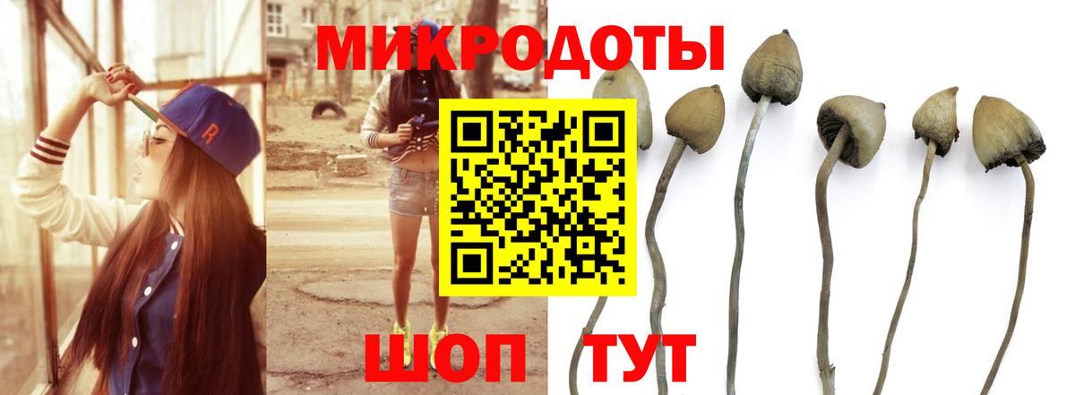 Галлюциногенные грибы мухоморы  Вход с VPN  Галлюциногенные грибы Psilocybe  Урус-Мартан 